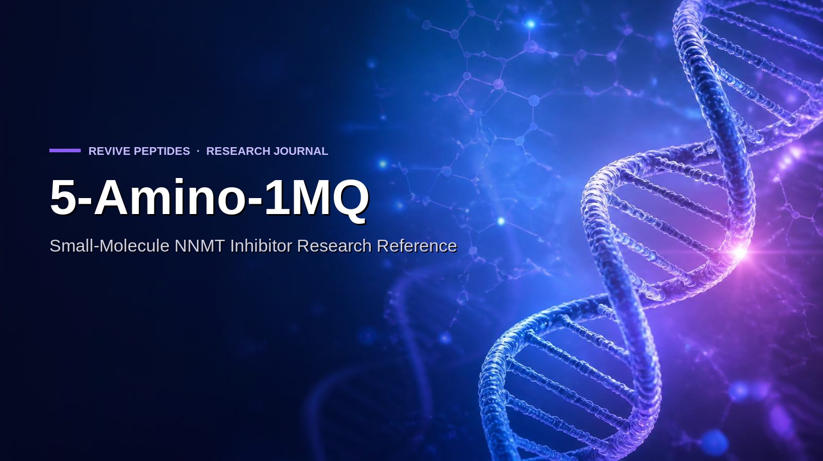 5-Amino-1MQ: Small-Molecule NNMT Inhibitor Research Reference
