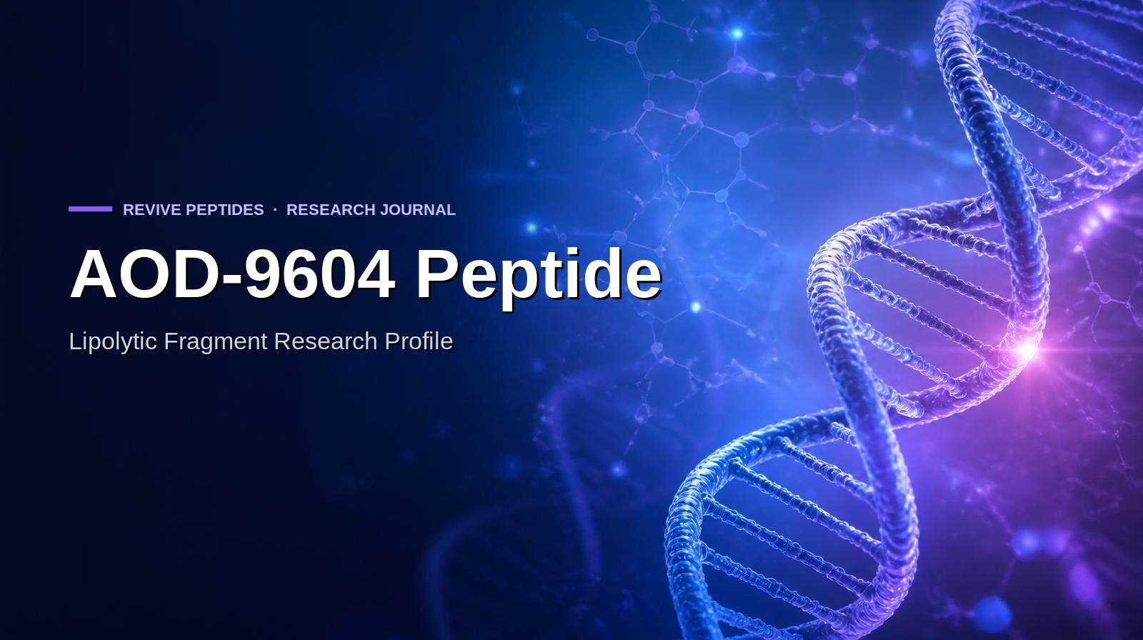 AOD-9604 Peptide: Lipolytic Fragment Research Profile
