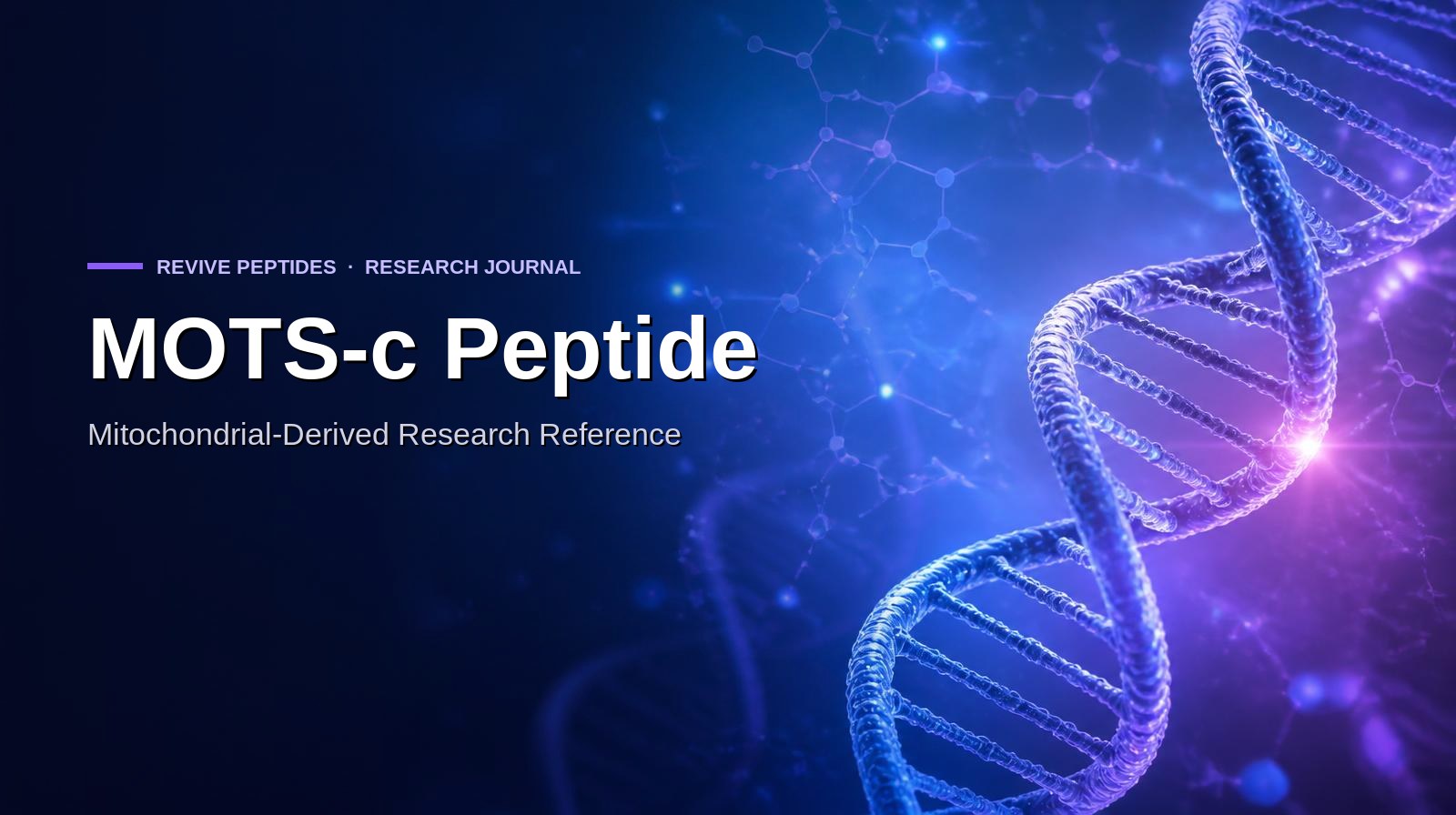 MOTS-c Peptide: Mitochondrial-Derived Research Reference