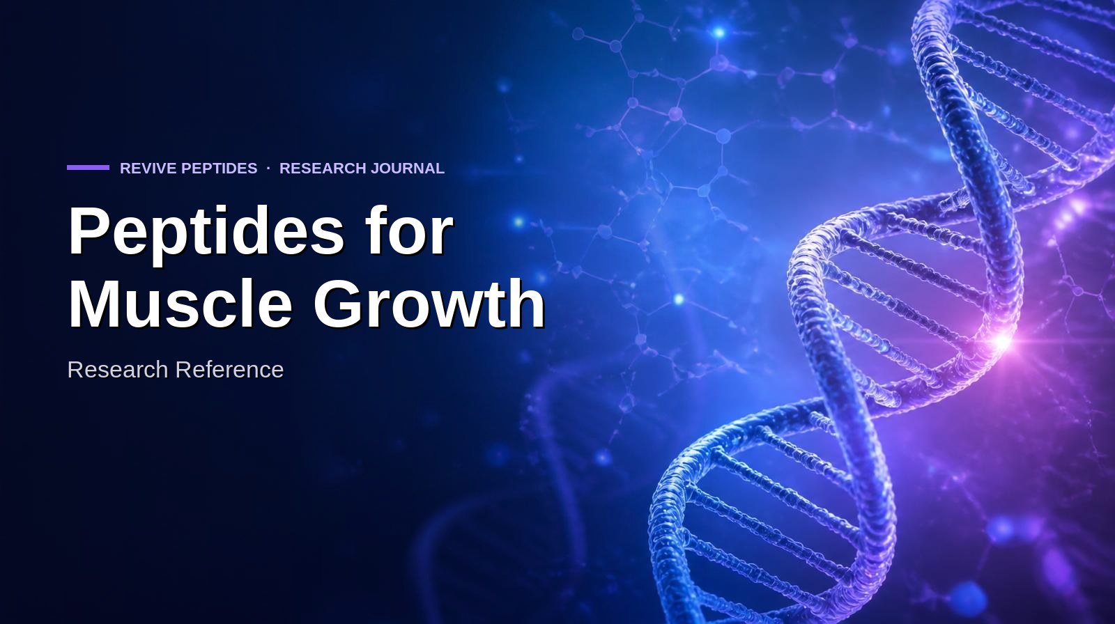 Peptides for Muscle Growth: Research Reference