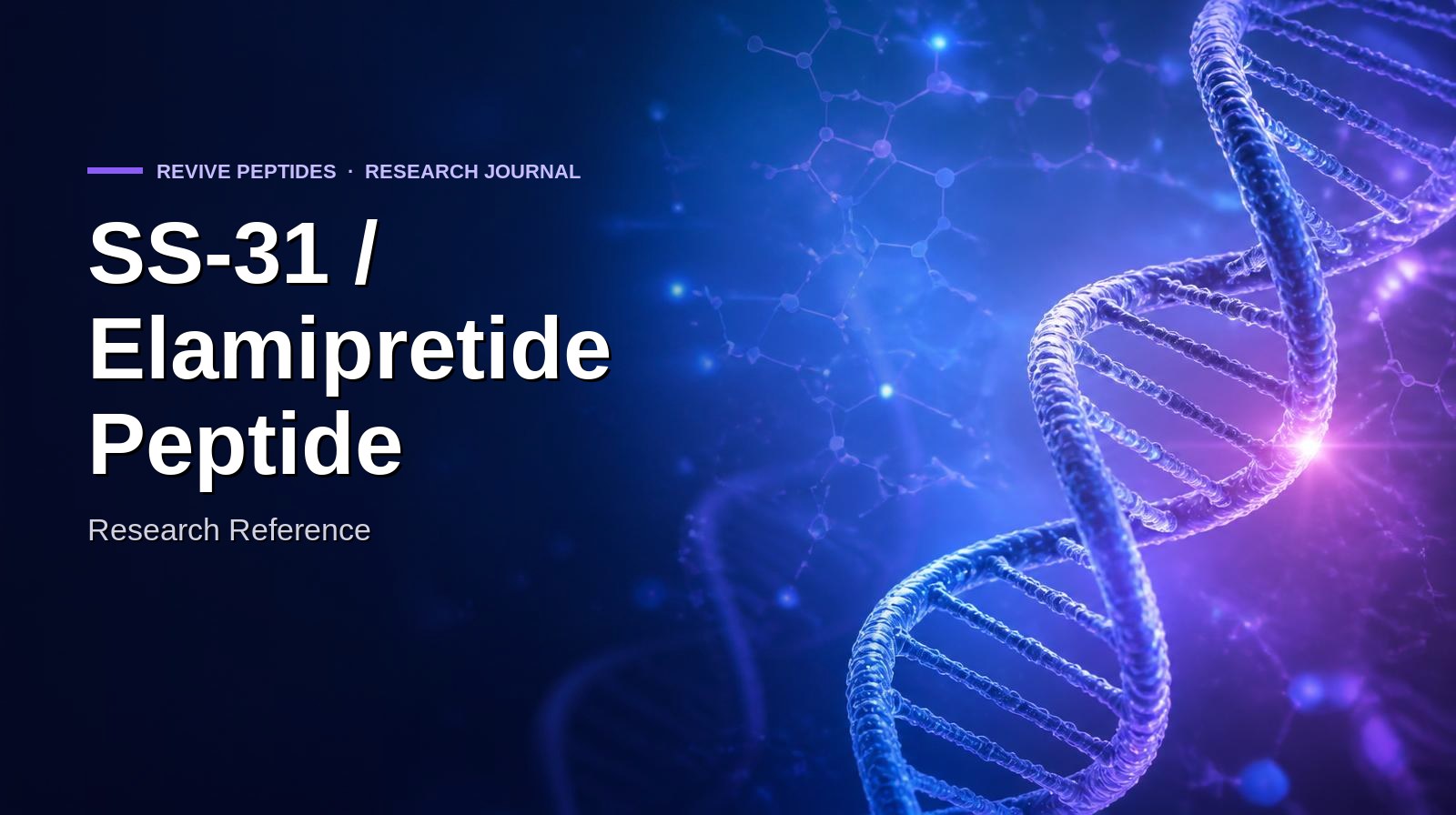 SS-31 / Elamipretide Peptide: Research Reference