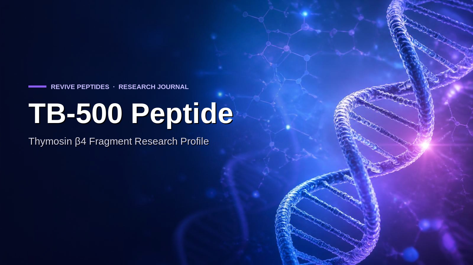 TB-500 Peptide: Thymosin β4 Fragment Research Profile